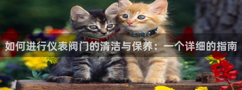 九游会官方平台