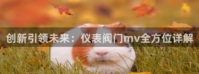 九游会体育开户