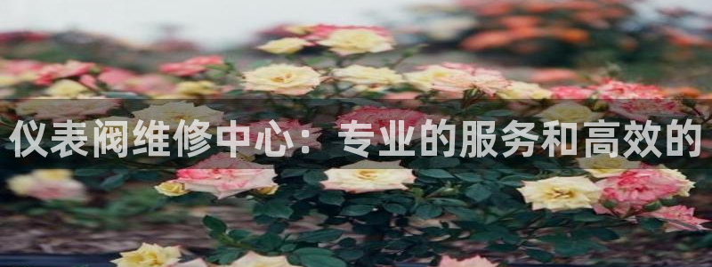 九游会老歌俱乐部