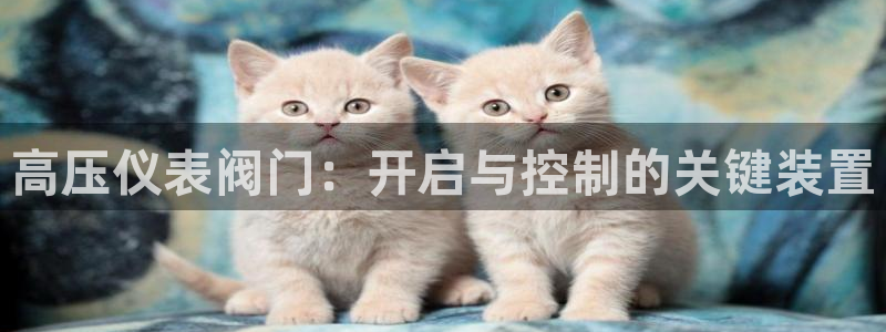 九游会只为非凡