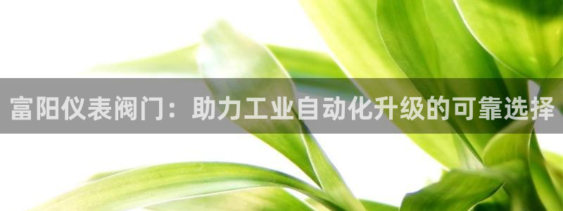 九游会游戏官网网页版