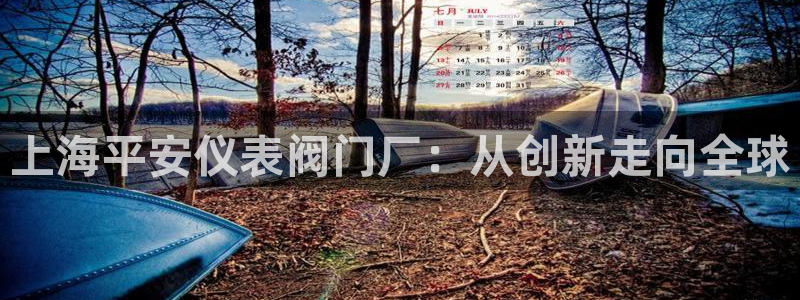 九游会ag合作平台