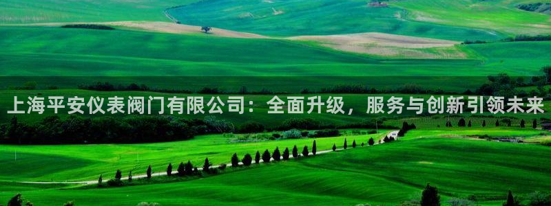 九游会平台稳定吗