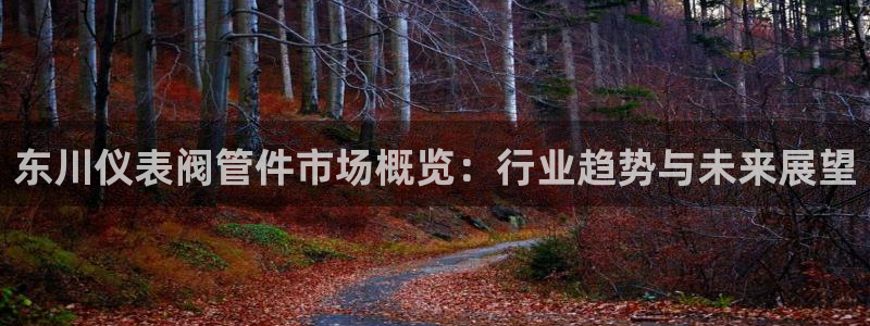 九游会官网直营