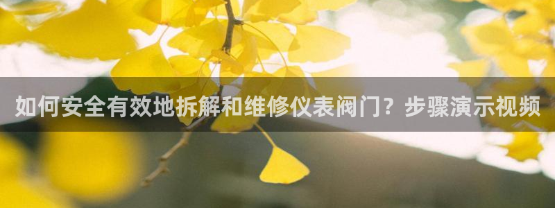 九游会网站打不开