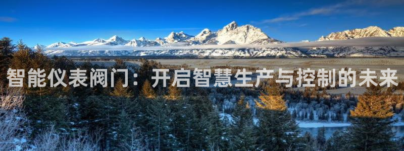 九游会备用线路