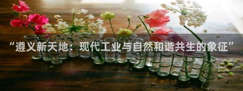 九游会平摊