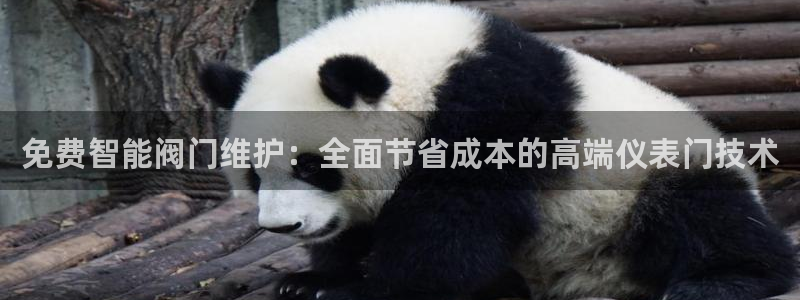 九游会网址登陆