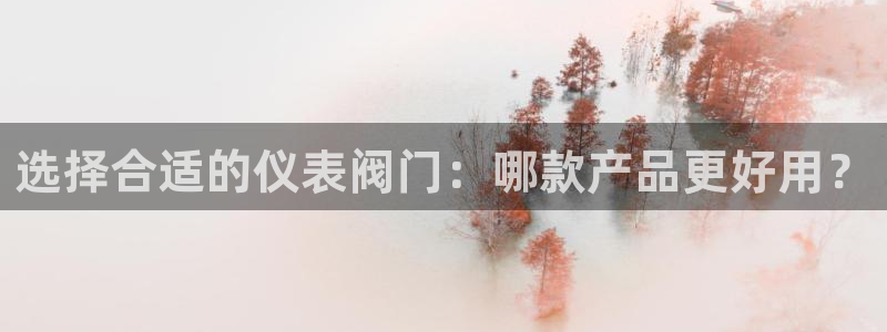 九游会j9是什么意思