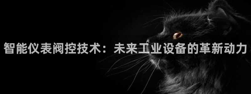 九游会正规备用网址