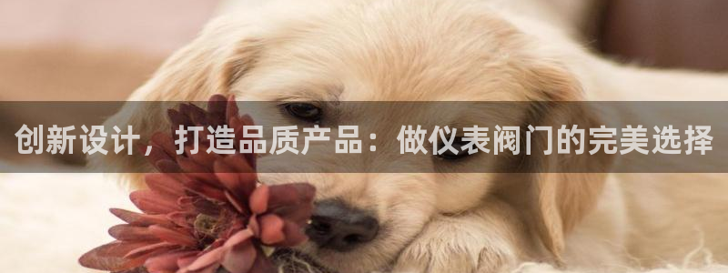 九游会官网直营店