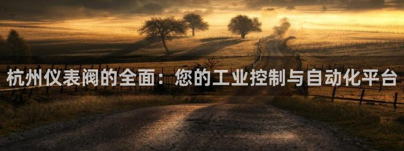 九游会网址平台怎么样
