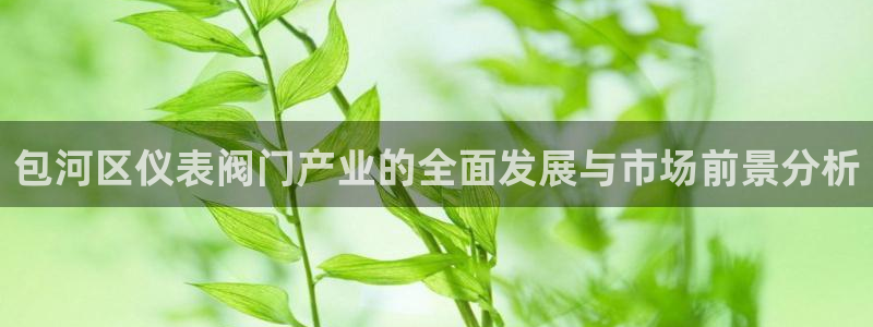 江苏九游会